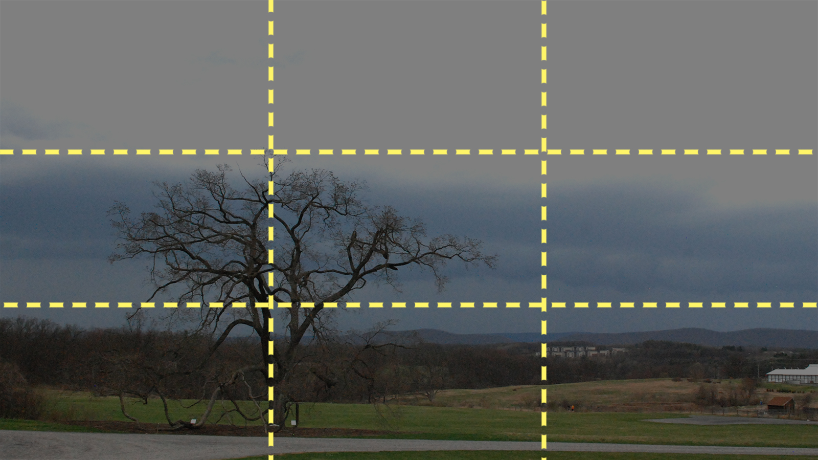 Rule of Thirds Grid