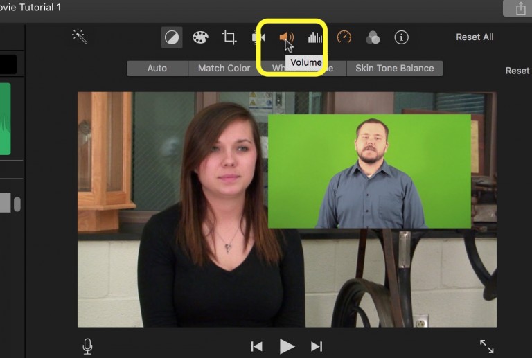 iMovie volume icon in viewer window