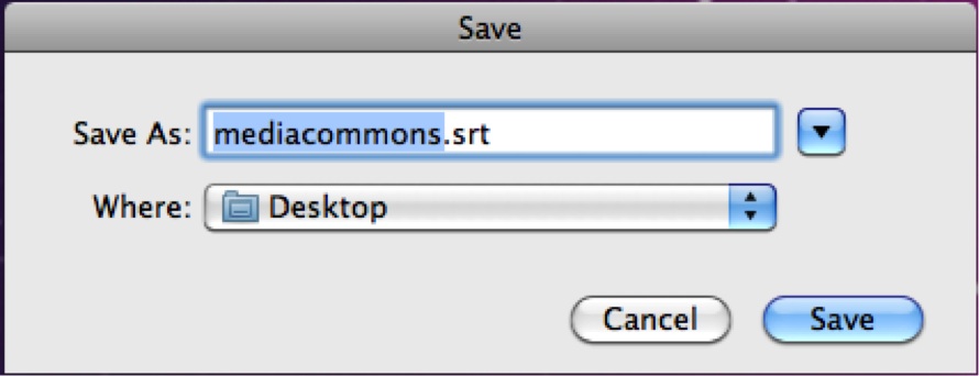 Caption file save window