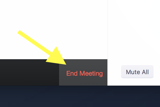 The End Meeting button in Zoom