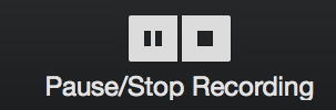 The Pause/Stop Recording button in Zoom