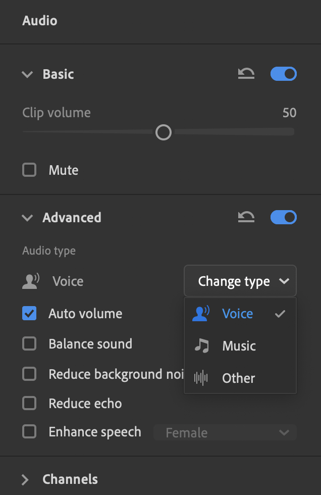 Changing the audio type to Voice