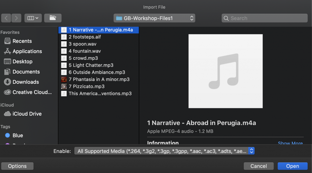 Selecting audio assets to import