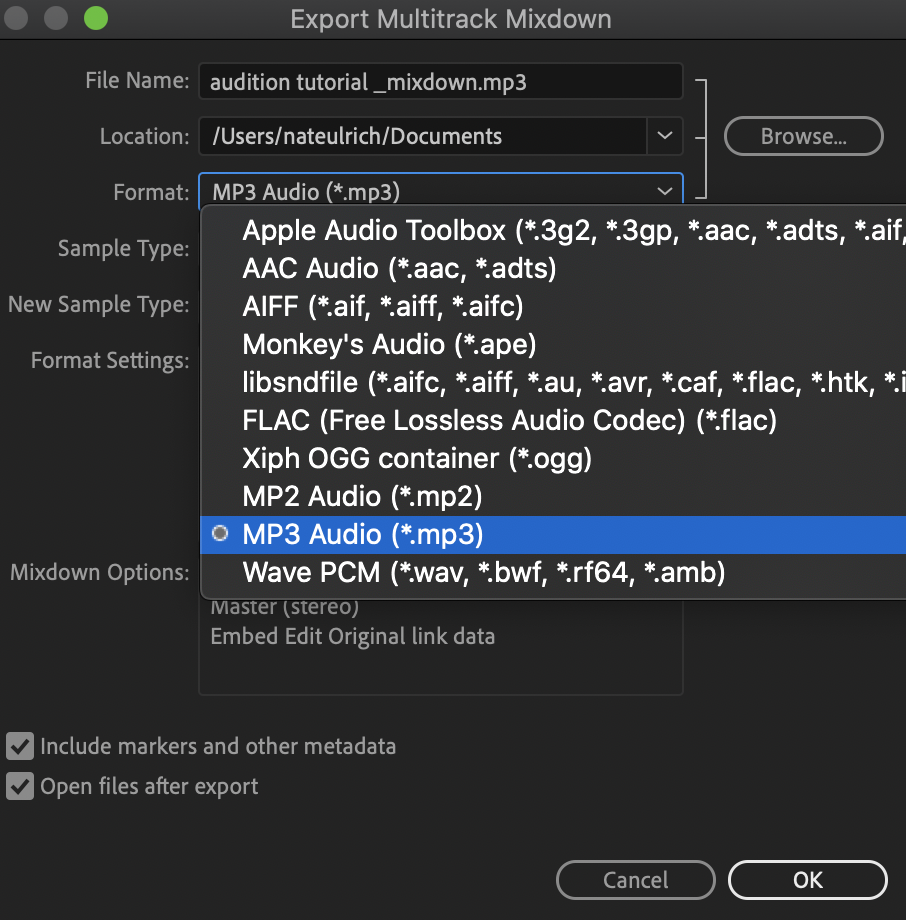 Selecting MP3 Audio format for export