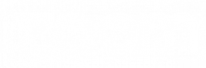 Zoom Logo