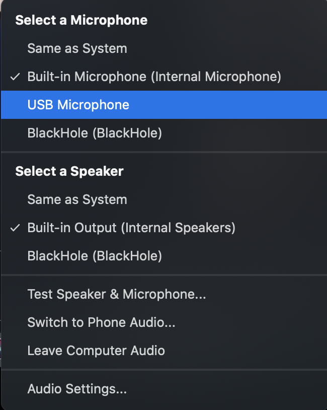 zoom audio settings image