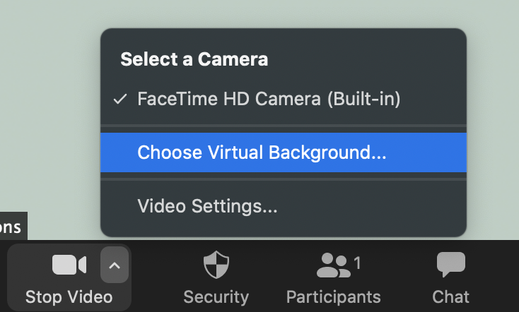 zoom camera options