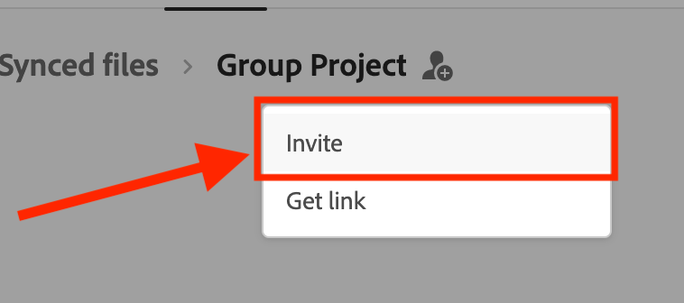 Group project share options
