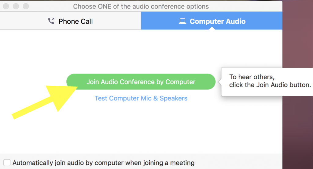 Join Audio Conference by Computer
