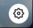 Gear Icon