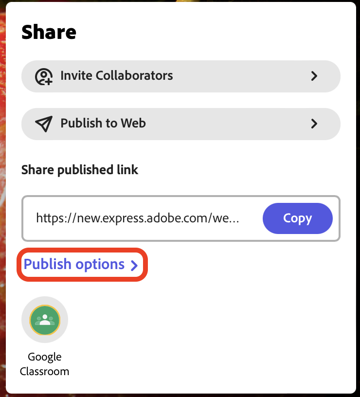 Return to publish options