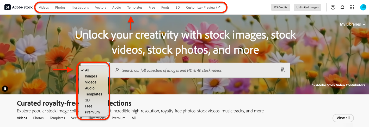 adobe-stock-premium-asset-type Screenshot of how to set the asset type for your Adobe Stock searches.