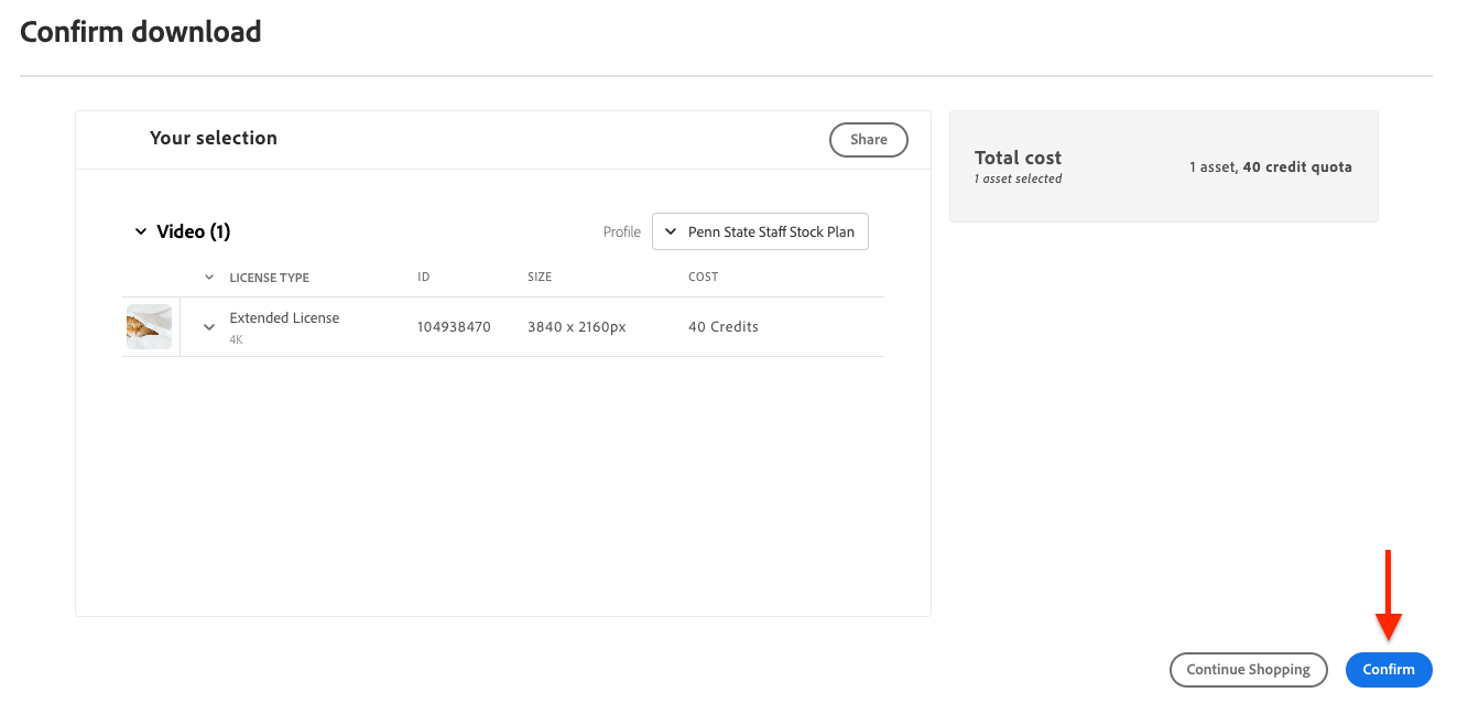 adobe-stock-premium-confirm-download Screenshot of the screen to confirm your download of a premium Adobe Stock asset.