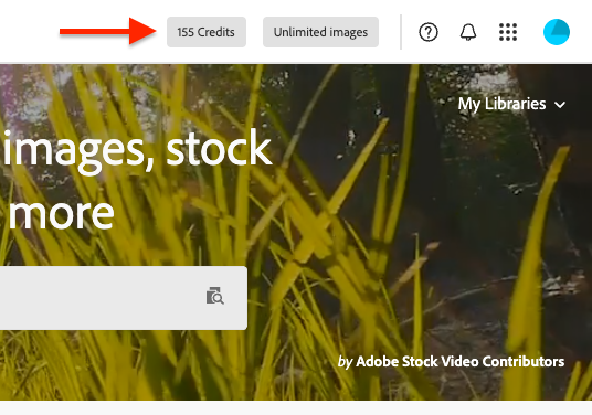 adobe-stock-premium-credit Screenshot of the shared credits in Adobe Stock.