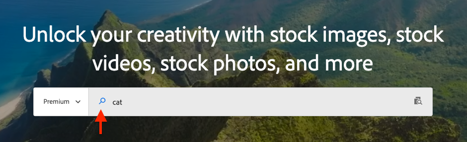 adobe-stock-premium-search Screenshot of the Adobe Stock search bar.